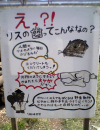 摜u?! X̎ĂȂȂ?v