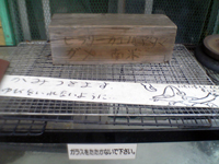 摜uq[JGA^}Kv