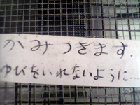 摜u݂܂v