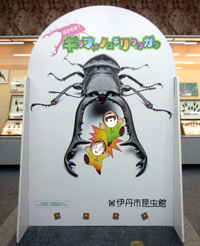 摜uopl Mt@mRMNK^v