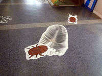 摜uO v