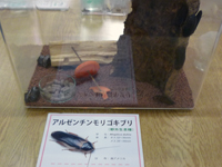 摜uA[`SLuv