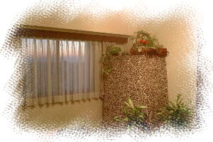 eTNishiimg5
