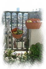 eTNishiimg4