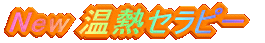 New 温熱セラピー
